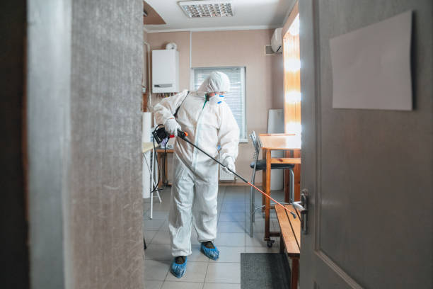 Best Crawl Space Mold Remediation  in Lower Grand Lagoon, FL