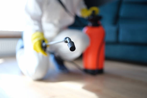 Best Industrial Mold Remediation  in Lower Grand Lagoon, FL