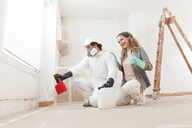 Best Comprehensive Air Testing for Mold Contaminants  in Lower Grand Lagoon, FL