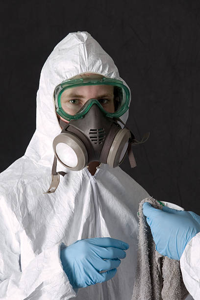 Trusted Lower Grand Lagoon, FL Mold Removal Experts